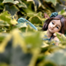 Két ütős. A koncert és a kiállítás képekben