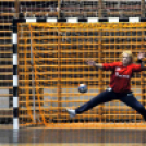 Ceglédi Kék Cápák – Danuke 22 – 31 ( 10 – 13 )