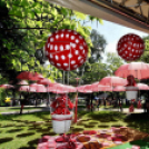 Pöttyös gyermeknap 2019