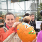 Családi tökfaragás az Oázis Kertészetben