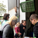 Szebb, virágosabb Ceglédért