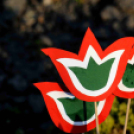 Gyerekek munkái - Március 15