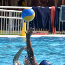 Nemzetközi torna a ceglédi uszodában