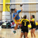 Ceglédi Kék Cápák – Danuke 22 – 31 ( 10 – 13 )