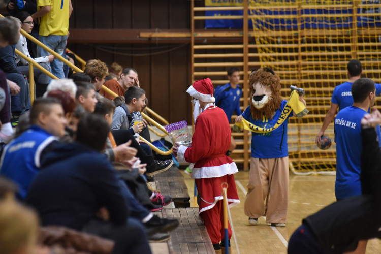 CEGLÉDI KK SE -OROSHÁZI FKSE-LINAMAR  27-31  (17-17)