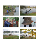 Ez történt Cegléden 2014-ben