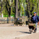 Füvesítik a strandot