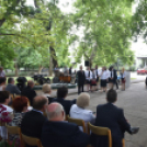 Semmelweis nap Cegléden