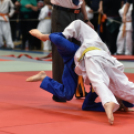 Judo Kupa Cegléden