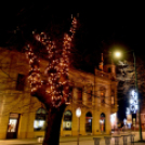 Advent harmadik vasárnapja