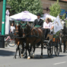 IX. Bor és Laskafesztivál - IV. Ceglédi Vágta