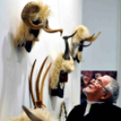 Mohácsi hagyomány Cegléden