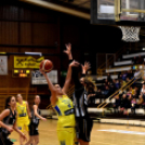 VBW CEKK CEGLÉD – BEAC ÚJBUDA