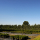 Színpompás bemutató