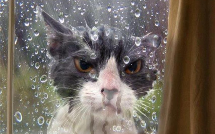 Komoly viharokra számíthatunk szerdától