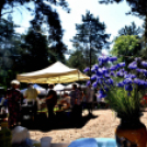 Főzőverseny a Laskafesztiválon