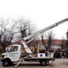 Fenyőfaállítás a Szabadság téren