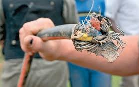 Kábeltolvajok miatt késnek a vonatok