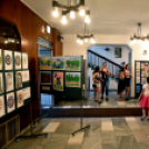 Idén is művészeti fesztivállal zárták az évet a Tetz iskola diákjai