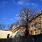 Rákóczi úti épületbontás I.