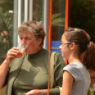 Rózsák Hétvégéje - Oázis Kertészeti Áruház