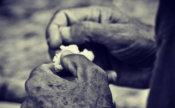 Felhívás Cegléd Város Szociális Szolgálatáért elismerő oklevél adományozására