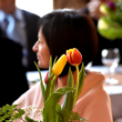 Sunday Burnch Baranyi Ferenccel 