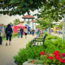 VII. Bor és laskafesztivál - 02