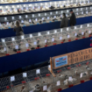 Galambkiállítás Cegléden