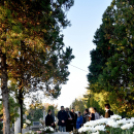 Patkós Irmára emlékeztek