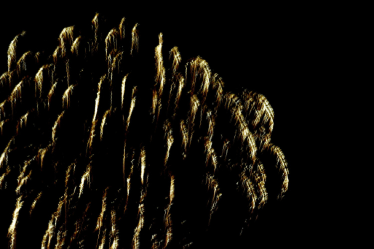 Augusztus 20 Cegléden 