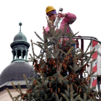 Fenyőfaállítás a Szabadság téren