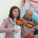 Utcazene fesztivál és koncertek