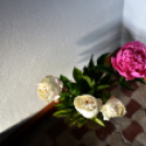 Pünkösdi hangverseny