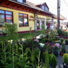 Virágvásár és főzőfesztivál Csemőben