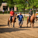 III. Ceglédi Vágta