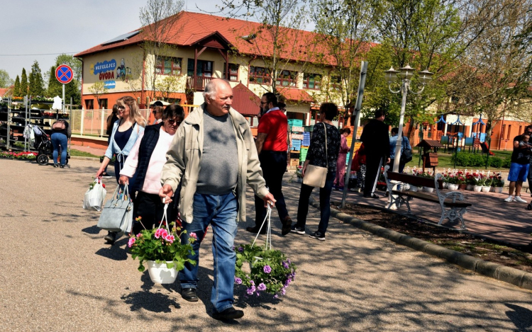 Virágvásár és főzőverseny Csemőben