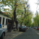 Halló Cegléd! - Kisfaludi István fotósorozata