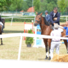 Bor és laskafesztivál - II