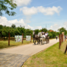 Nyitott Pince Napok - Kökény és Fia Családi Borászat