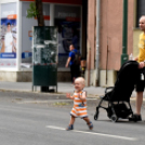 Múzeumok éjszakája Cegléden is