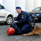 Nyílt Nap a Ceglédi Rendőrkapitányságon