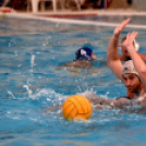 Ceglédi VSE - Gyöngyös