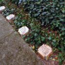 Messze a hazától...