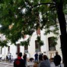 Múzeumok éjszakája