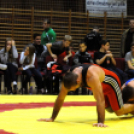 Birkózó Csapat Bajnokság - Visszavágó