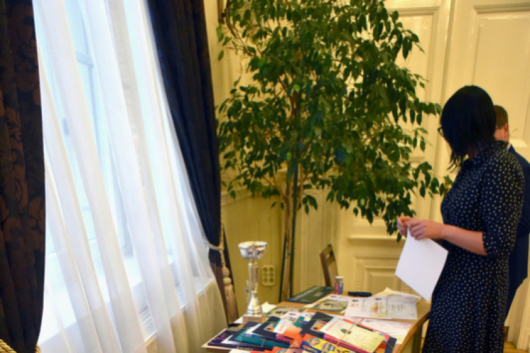 Legszebb rajzok - legszebb kertek