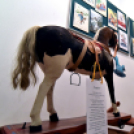 Hintaló kiállítás a Ceglédi Galériában