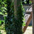 Gyászistentisztelet a temetőben