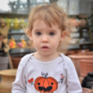 Családi tökfaragás az Oázis Kertészetben